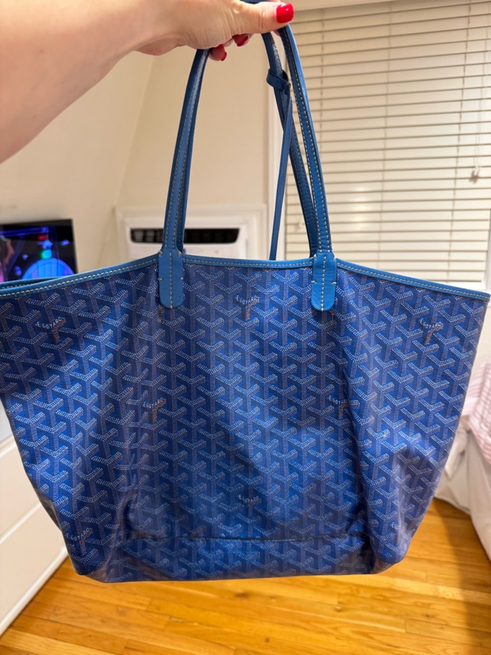 Authentic Goyard Saint Louis PM Tote Bag